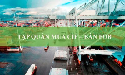 Tập Quán Mua CIF - Bán FOB Ở Việt Nam