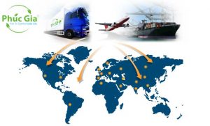 Chi Nhánh Logistics Của Phúc Gia® Trên Toàn Thế Giới
