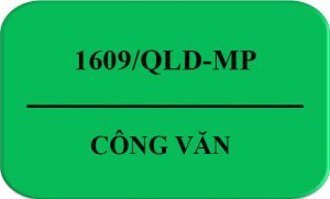 Cong_Van-1609-QLD-MP