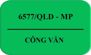 Cong_Van-6577-QLD-MP