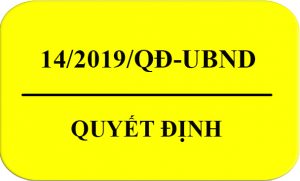 Quyết định 14/2019/QĐ-UBND