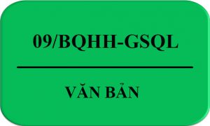 Van-Ban-09-BQHH