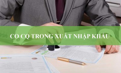 CO CQ Trong Xuất Nhập Khẩu Là Gì?