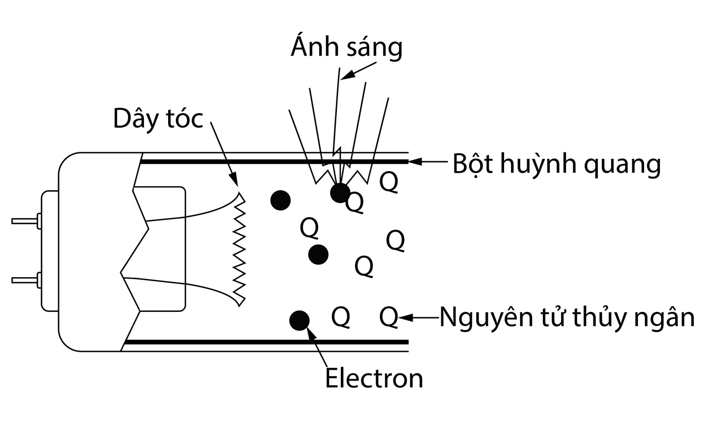 cấu tạo đèn huỳnh quang