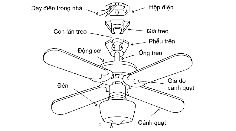 Cau_tao_quat_tran_1