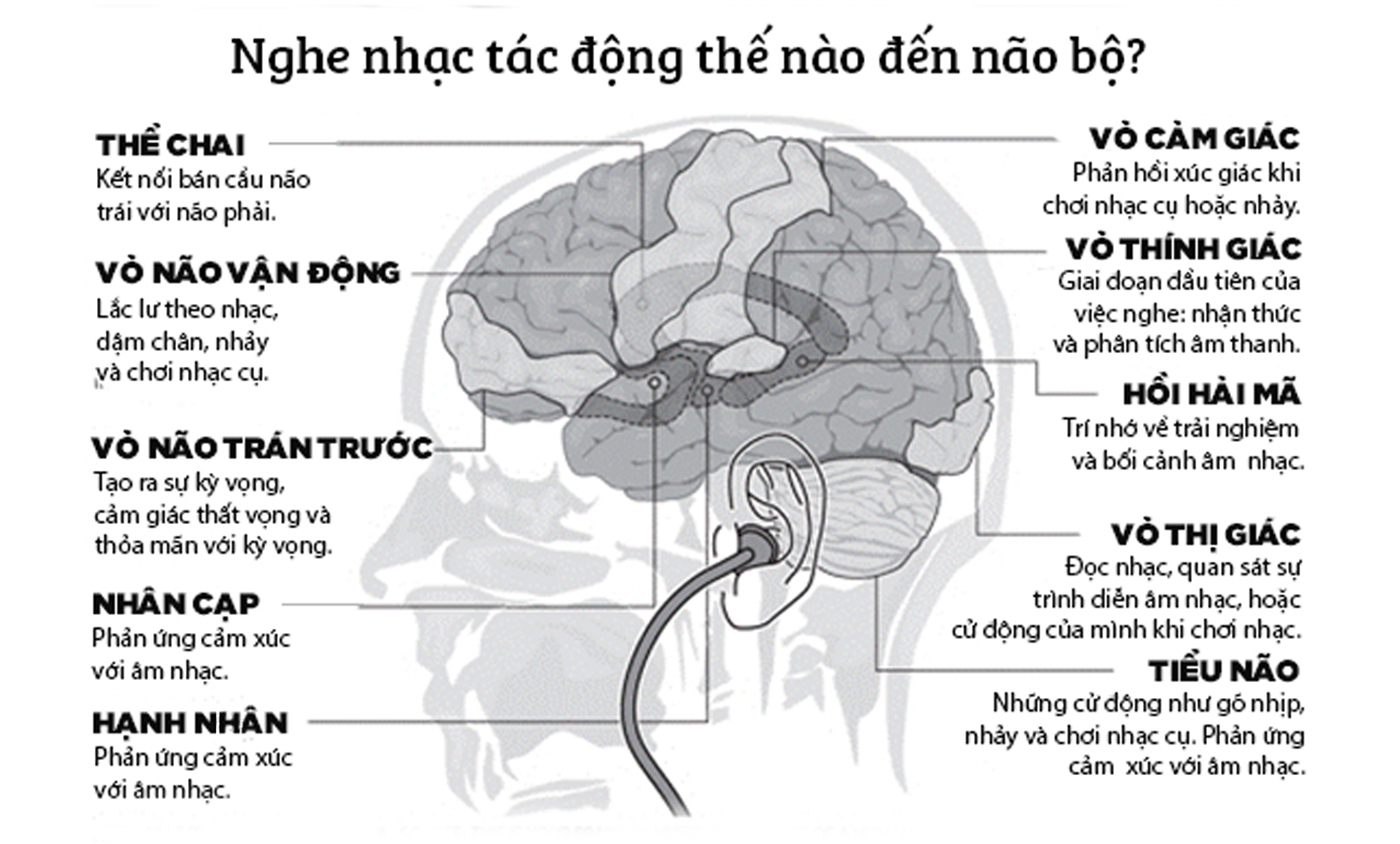 Âm nhạc với não bộ