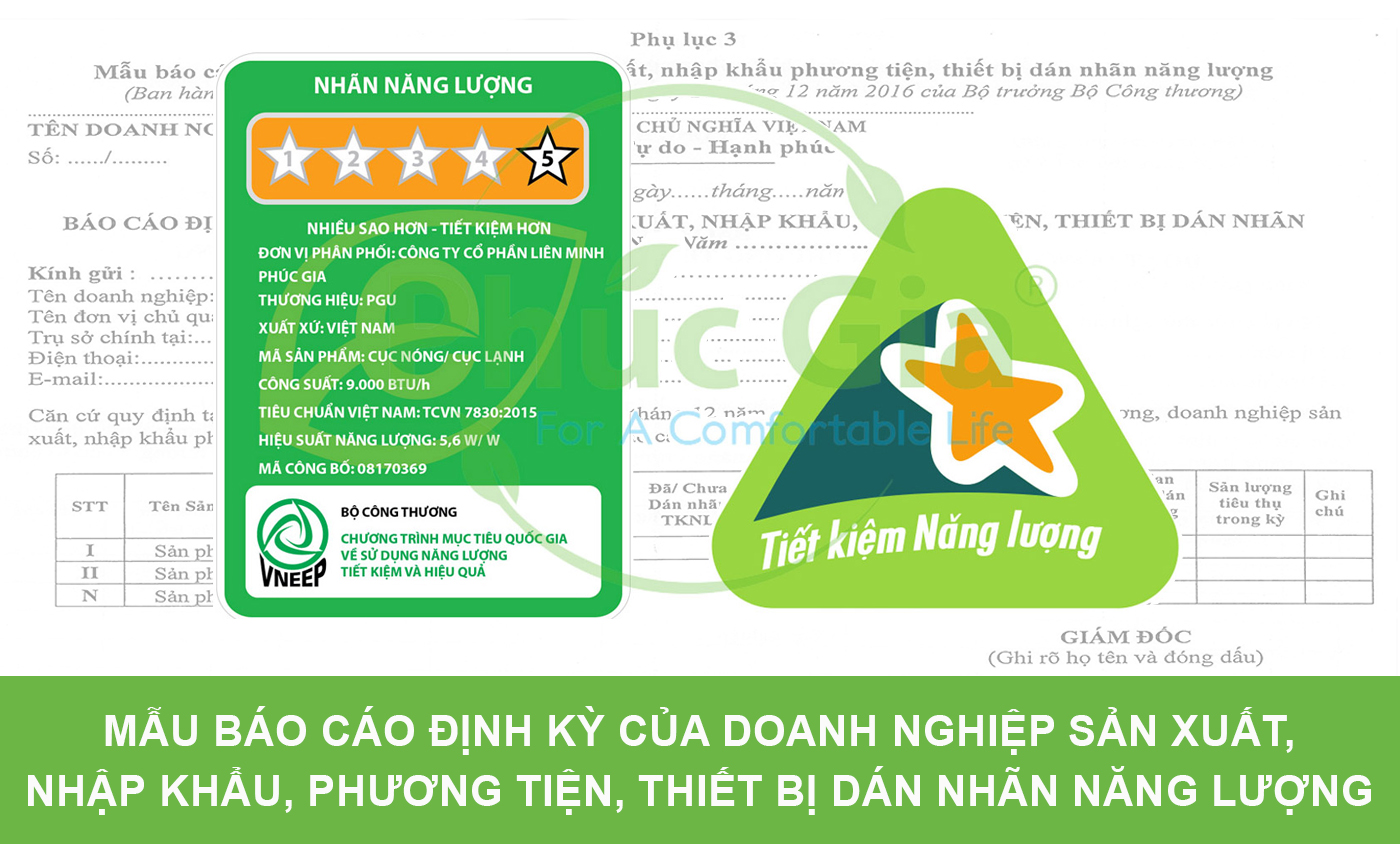 Báo cáo định kỳ dán nhãn năng lượng