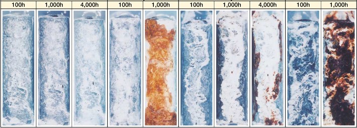 ket-qua-danh-gia-san-pham-sau-thu-nghiem-phun-muoi
