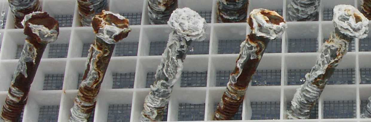 san-pham-sau-thu-nghiem-phun-suong-muoi