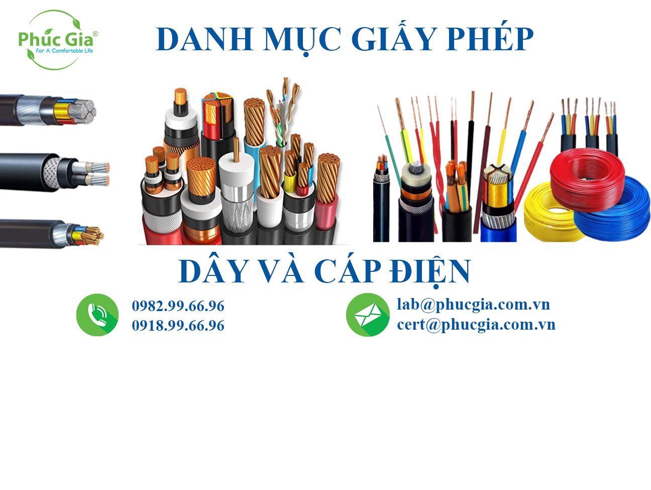 Danh Mục Giấy Phép Đối Với Dây Và Cáp Điện
